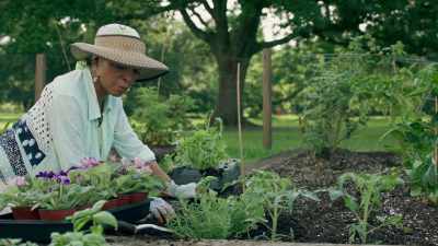 * Now that you're here * - Queen Sugar