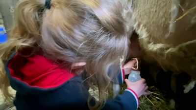 Now you've got it going. There! - Our Yorkshire Farm