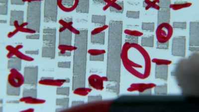 NUCLEAR DNA
IS A FULL-BLOWN PROFILE - Children of the Snow