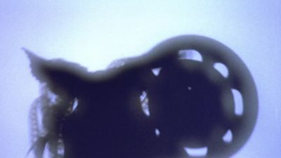 Nudie nudie nudie - Gremlins 2: The New Batch