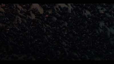 Nurse? Someone, quick! - The Gloaming