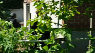 NYPD! - Law & Order: Organized Crime