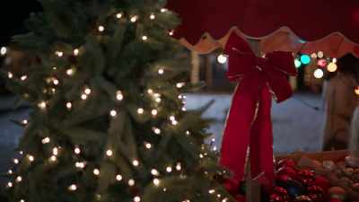 - ♪ O Christmas tree,
o Christmas tree ♪ - Dashing in December