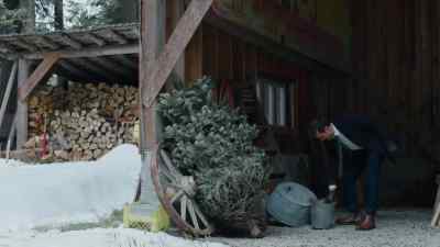 * O, Christmas tree
O, Christmas tree * - All I Need for Christmas