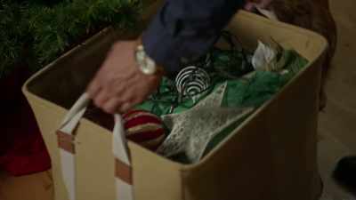 ♪ O Christmas tree,
O Christmas tree ♪ - Magical Christmas Ornaments