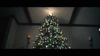 ♪ O, Christmas tree ♪ - Adult Swim Yule Log 2: Branchin' Out