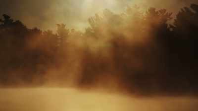 O la palabra "Psyche", - Becoming Animal
