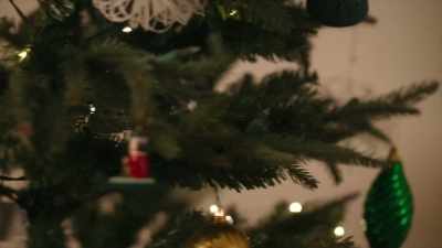 ♪ O tannenbaum, o tannenbaum ♪ - The Christmas Letter
