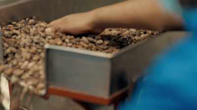 Oaxaca's Willy Wonkas - Eva Longoria: Searching for Mexico