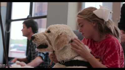 Obedience is the foundation
of absolutely everything we do. - Dogs