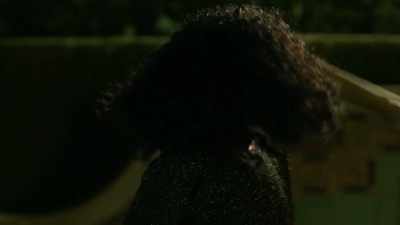 (object thwacking)
(viv groans) - My Diary of Lies