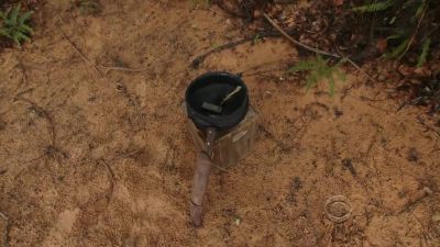 Obrigada. - Survivor