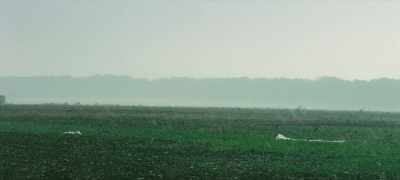 Obviously, we couldn't harvest
in the rain. - Clarkson's Farm