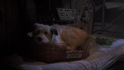 Obviously the time continuum has been disrupted - Back to the Future Part II