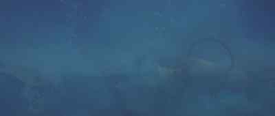 Ocean Lab, this is Triton.
Do you hear me? - The Neptune Factor
