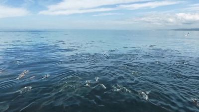Oceans wrap the entire world with their embrace. - A World of Calm