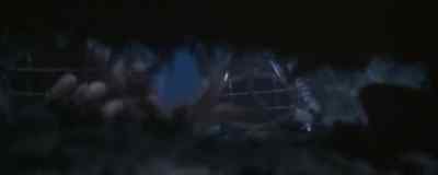 Octopus.
It has been with us for many years. - Captain Nemo and the Underwater City