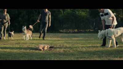 [Odi whimpering] - Aftermath