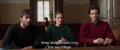 Of your 17 parcels, - Back to Burgundy