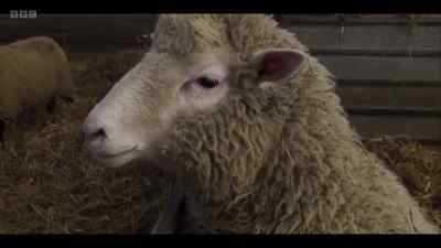 Of course, cloning
raises awkward questions - Cunk on Life