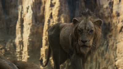 SimbaWhat have you doneIt was a stampedeHe tried to save meIt was an accidentI didn't mean for it toOf course you didn'tNo one ever means for these things to happenBut the king is deadand if it weren't for youhe'd still be aliveYour father had such hopes - The Lion King