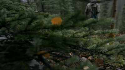 Of course, even
though I don't expect to, - Life Below Zero: Next Generation