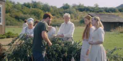 - Of course.
- How many, eh,  - Midsommar