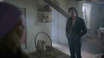 Of course, I have to repaint
the entire cottage, - 'Tis the Season to Be Irish