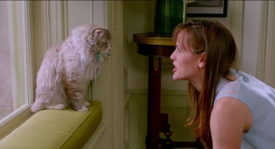 Of course Tom picked you You're just like him - Nine Lives