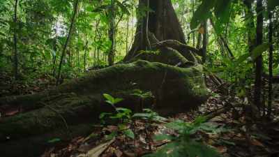 Of course,
we urgently need to protect - The Green Planet