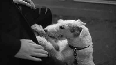 Of course, you wouldn't know
how it started, would you? - Shadow of the Thin Man
