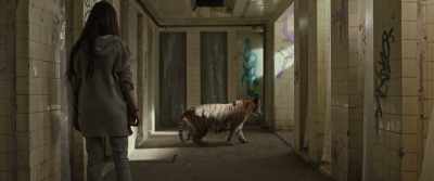 ...of this Kingdom
of broken things. - Tigers Are Not Afraid