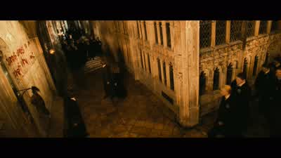 ...of the relationship between Ron and Hermione. - Harry Potter and the Chamber of Secrets