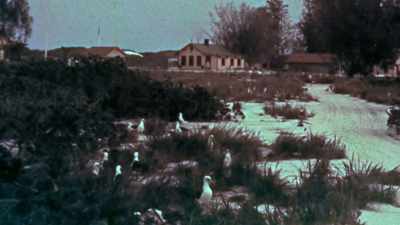 Of these remote
American outposts. - The Pacific War in Color