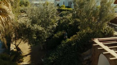 - Ofelia. Ofelia.
- Sí? - Fear the Walking Dead