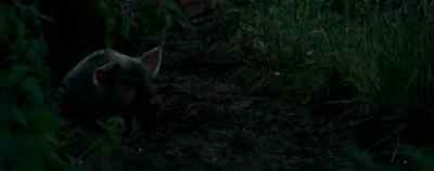 Off you go, piglet.
That's it. - Nanny McPhee Returns
