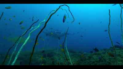 Off southern Mozambique, - Our Oceans