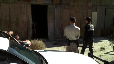 OFFICE It's clear! - CSI: Crime Scene Investigation