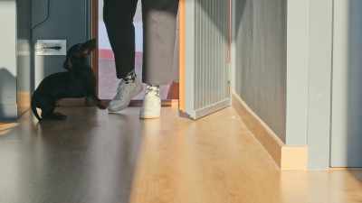 Often, nothing relieves
your dog's anxiety more - Inside the Mind of a Dog