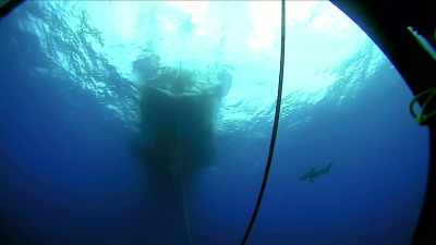 Ognuno delle centinaia di uomini
e donne in servizio.. - Deep Rising