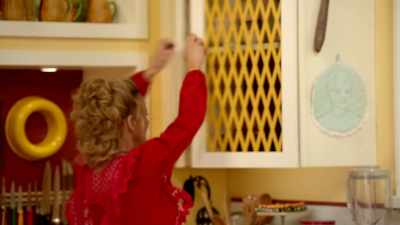 Oh, a 12-pound roasted turkey!
[ Chuckles ] - At Home with Amy Sedaris