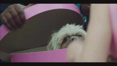 Oh, a puppy! - Gangs of London