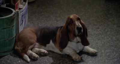 Oh, ain't that so cute? - Freaky Friday