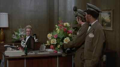Oh! Aren't those beautiful? - Now You See Him, Now You Don't