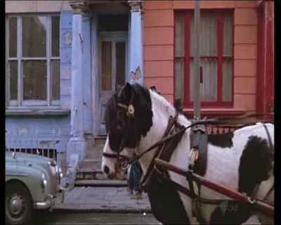 Oh, Barry, where have you been? - The Adventures of Barry McKenzie