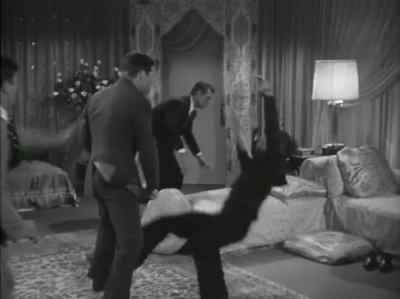 Oh, big fight! - Dream Wife