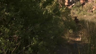            Oh [bleep].
     [screams in frustration] - Naked and Afraid