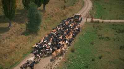 Oh, my *bleep*
That's gotta be like - Gold Rush: Parker's Trail