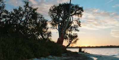Oh. Bloody bush rat! - The Naked Wanderer