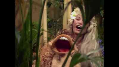 ♪ Oh, bongo, bongo, bongo
We don't want to leave the Congo ♪ - The Muppet Show